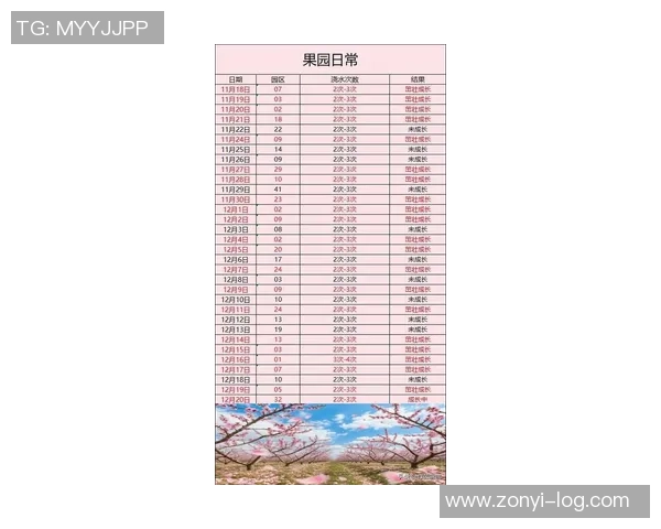 足球星期六赛事安排一览 本周末精彩比赛不容错过